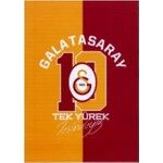 Galatasaray Defter A4 Spiralli 60 Yaprak çizgili